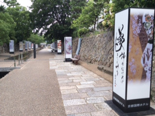 kyotana1